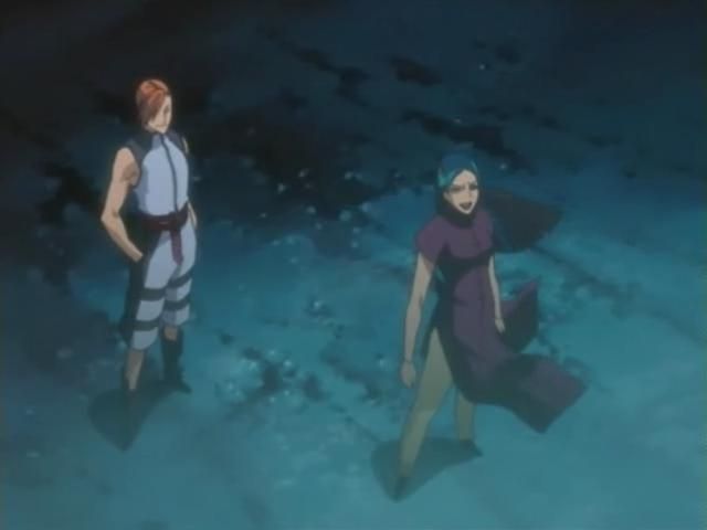 Otaku Gallery  / Anime e Manga / Bleach / Screen Shots / Episodi / 097 - Hitsugaya si muove - Taglia il nemico nella foresta / 189.jpg